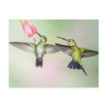 Hummingbird par Flies Side by Side
