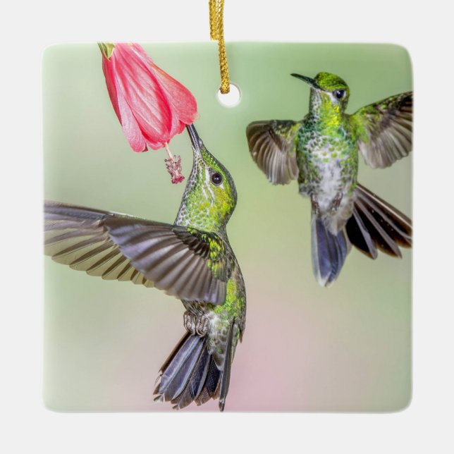 Hummingbird par som flyger tillsammans Namn Julgransprydnad Keramik (Framsida)