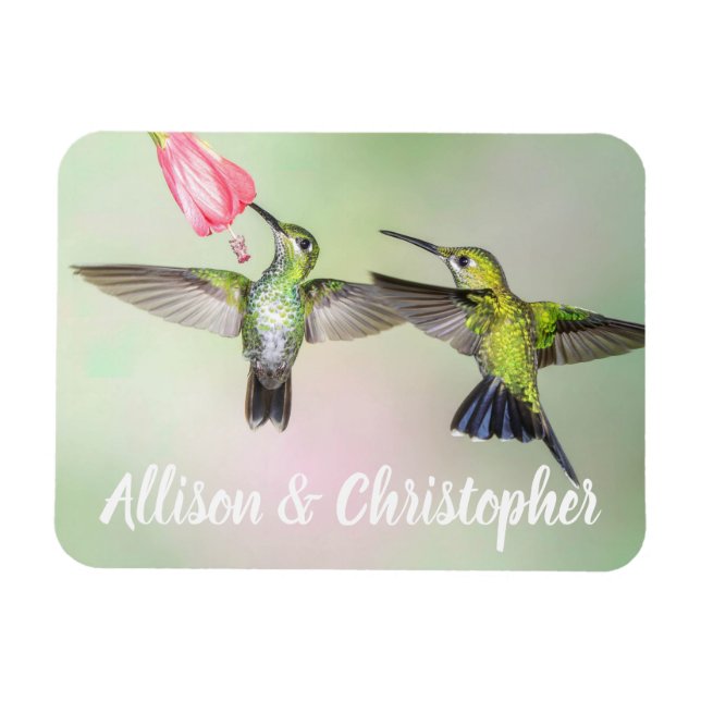Hummingbird par som flyger tillsammans Personlig Magnet (Horisontell)