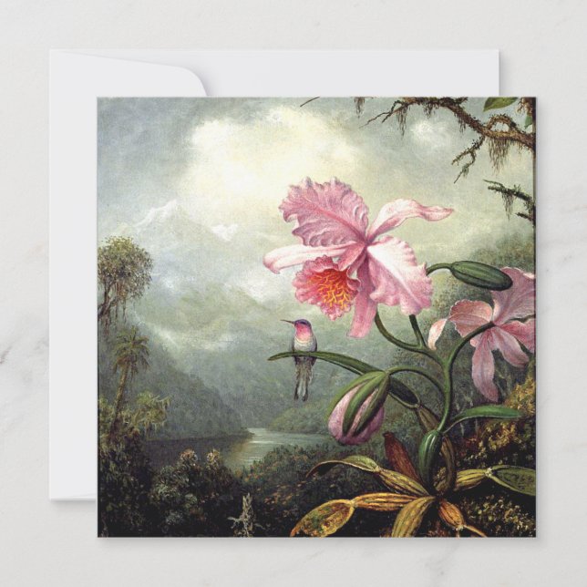 Hummingbird Perched, bra Art. Kort (Framsida)