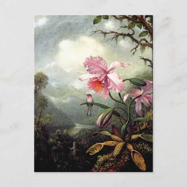 Hummingbird Perched, bra Art. Vykort (Framsida)