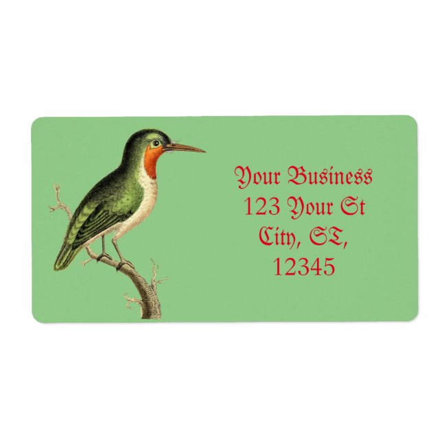 Hummingbird Perched Thunder_Cove Fraktsedel (Framsidan)