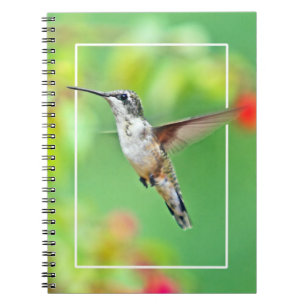 Hummingbird Photograph Anteckningsbok