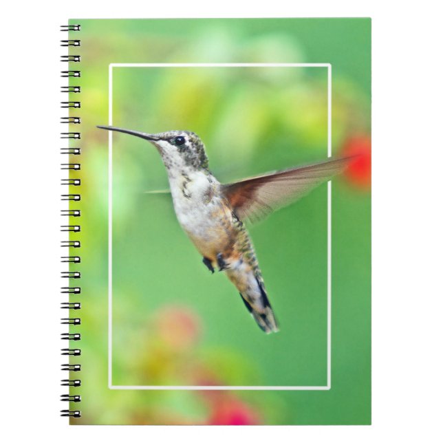 Hummingbird Photograph Anteckningsbok (Framsidan)