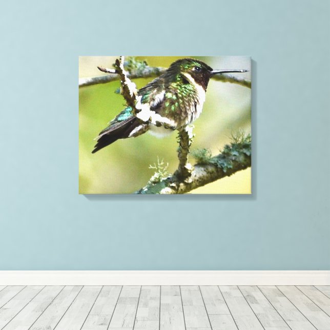 Hummingbird Photography Wall decor Canvas (Insitu (trägolv))