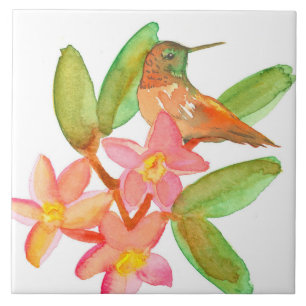 Hummingbird Plumeria Watercolor Flowers Kakelplatta