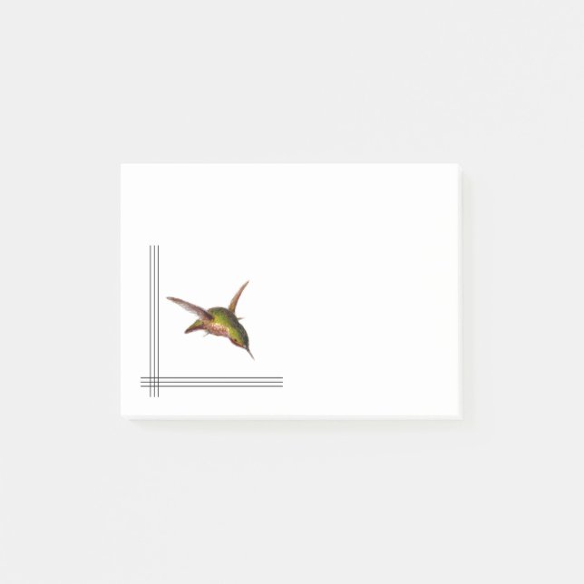 Hummingbird Post-it Notes (Framsida)