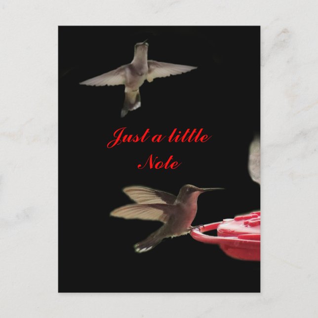 Hummingbird Postcard #ct98721- anpassa Vykort (Framsida)