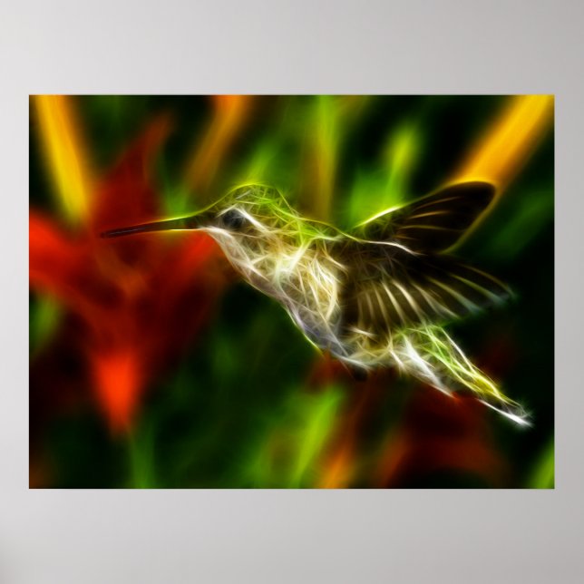 Hummingbird Poster (Framsidan)