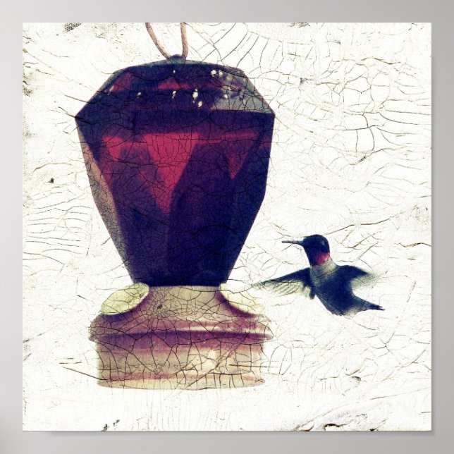 Hummingbird Poster (Framsidan)