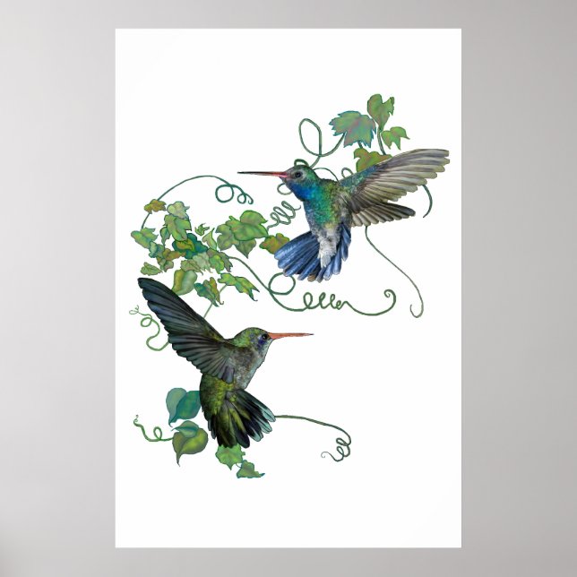 Hummingbird Poster (Framsidan)