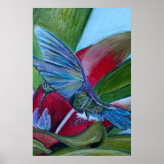 Hummingbird Poster