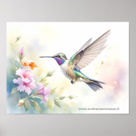 Hummingbird Poster