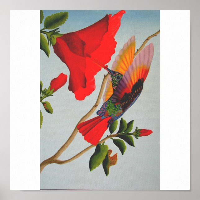 Hummingbird Poster (Framsidan)