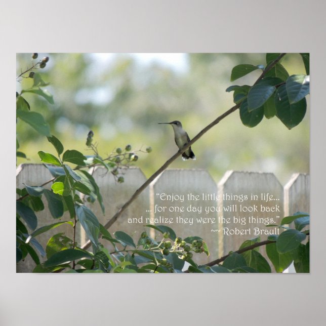 Hummingbird Poster med "Little Sak"-citat (Framsidan)
