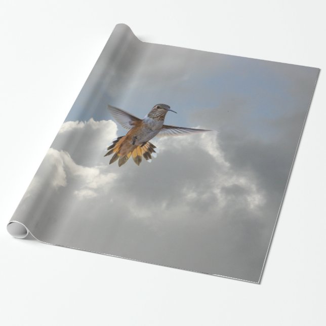 HUMMINGBIRD PRESENTPAPPER (Utrullad)