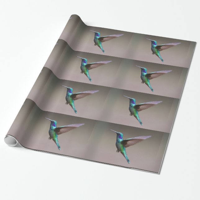 Hummingbird Presentpapper (Utrullad)