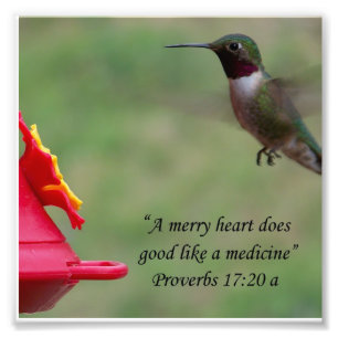Hummingbird Proverbs 17:20 Bible Verse Photograph Fototryck