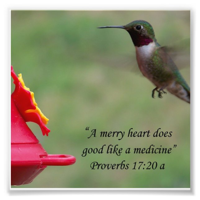 Hummingbird Proverbs 17:20 Bible Verse Photograph Fototryck (Framsidan)
