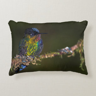 Hummingbird Prydnadskudde