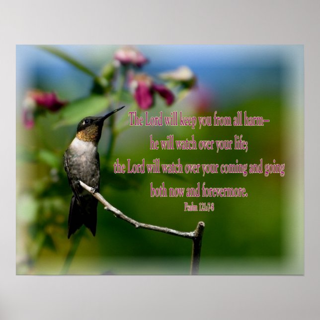 Hummingbird Psalm 121:7-8 Poster (Framsidan)