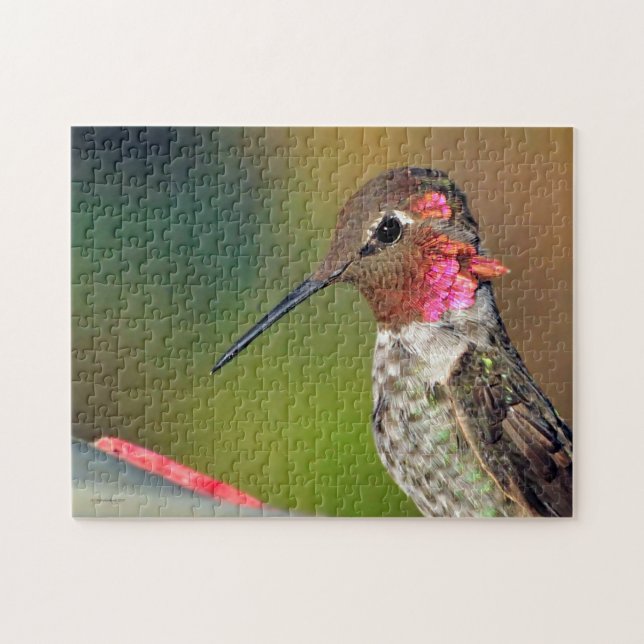 Hummingbird Pussel (Horisontell)