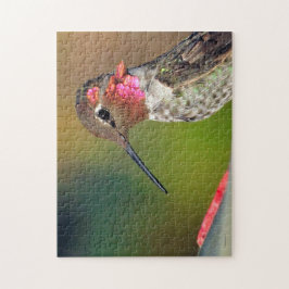 Hummingbird Pussel