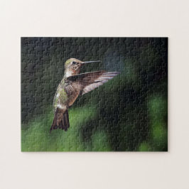 Hummingbird Pussel