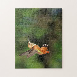 Hummingbird Pussel