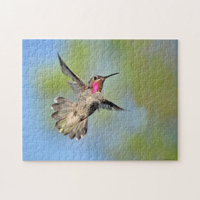 Hummingbird Pussel (Horisontell)