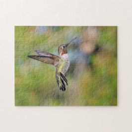 Hummingbird Pussel