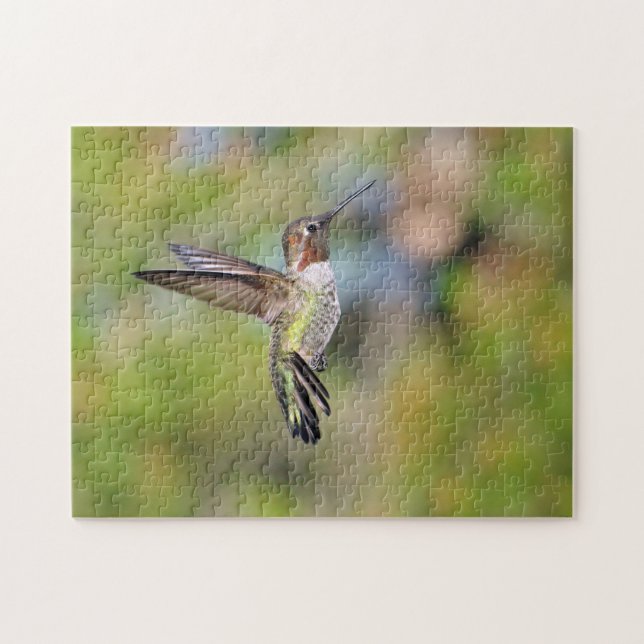 Hummingbird Pussel (Horisontell)