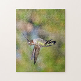 Hummingbird Pussel