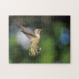 Hummingbird Pussel