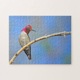 Hummingbird Pussel
