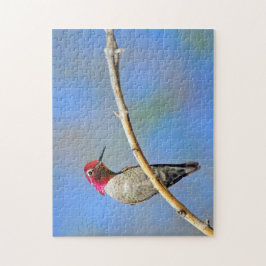 Hummingbird Pussel
