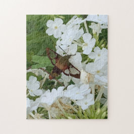 Hummingbird Puzzle Pussel