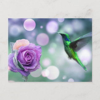 Hummingbird & Ro - Grönt och Rosa Vykort