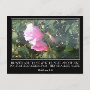 Hummingbird & Ro på Sharon Scripture Post Card Vykort