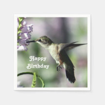 Hummingbird Rosa Blommigt Wildlife Photo Birthday