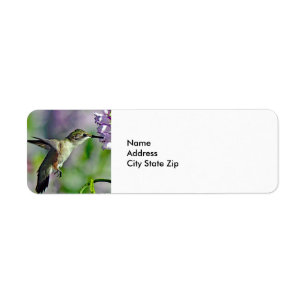 Hummingbird Rosa Blommigt Wildlife Photo Returadress Etikett