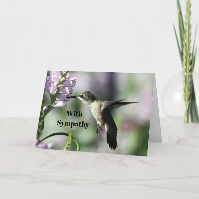 Hummingbird Rosa Blommigt Wildlife Photo Sympathy Kort (Framsida)