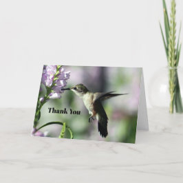 Hummingbird Rosa Blommigt Wildlife Photo Tack Kort