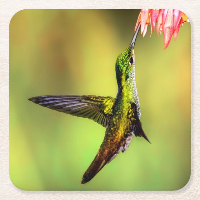 Hummingbird Rosa Flower Bird Underlägg Papper Kvadrat (Framsidan)