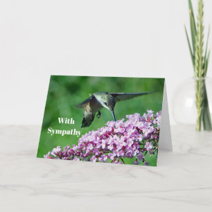 Hummingbird Rosa Flowers Wildlife Photo Sympathy Kort