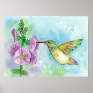 Hummingbird Rosa Hollyhock Flowers Watercolor Poster