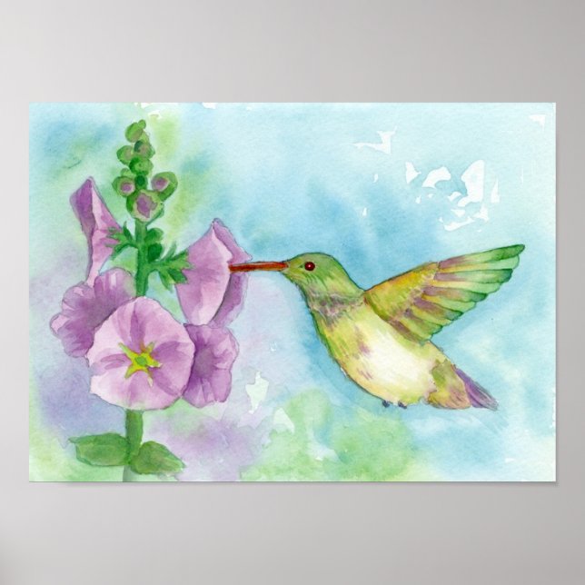 Hummingbird Rosa Hollyhock Flowers Watercolor Poster (Framsidan)