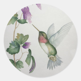 Hummingbird Round Sticker Garden Flower Runt Klistermärke