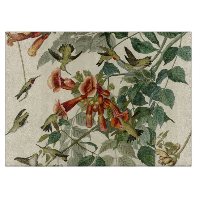 Hummingbird Ruby Throated Audubon (Framsidan)