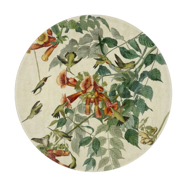 Hummingbird Ruby Throated Audubon (Framsidan)